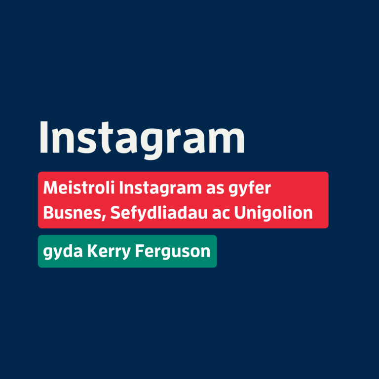 Meistroli Instagram ar gyfer Busnes, Sefydliadau ac Unigolion